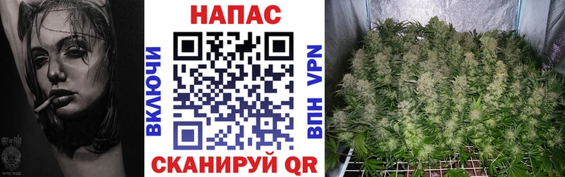 kraken   Абдулино  Бошки Шишки конопля 